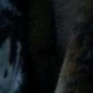 Meet your Posher, Trinity